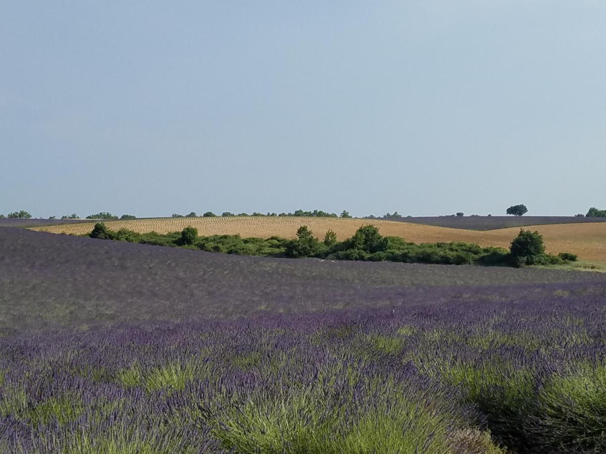 Gite Les Fourches Baudinard Экстерьер фото